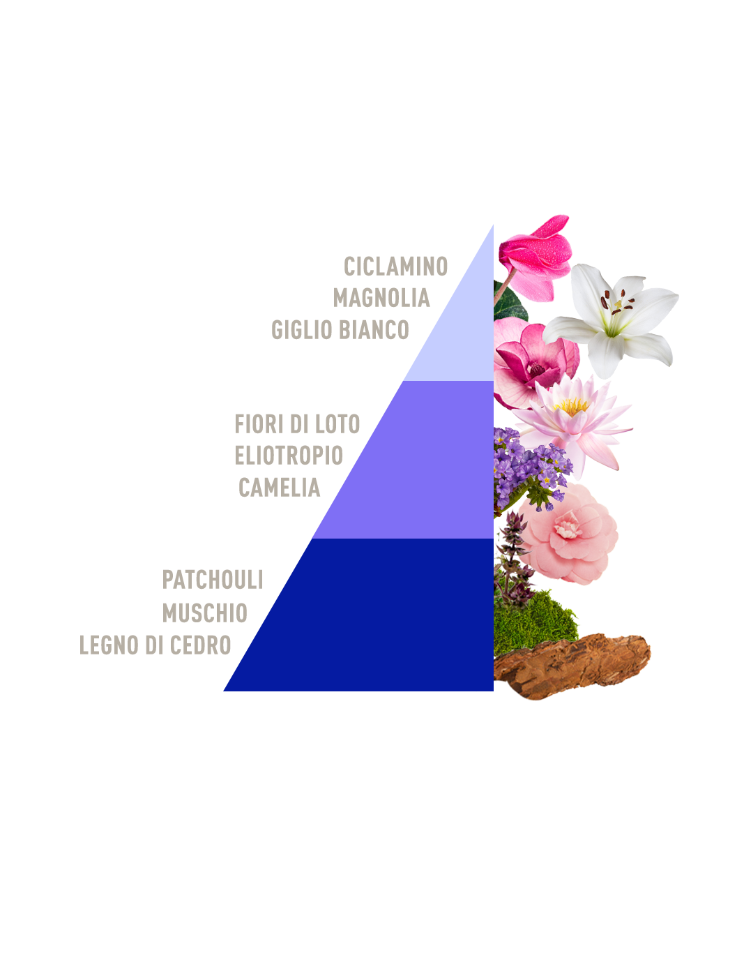 Laudry Perfume Green Loto e patchouli bio 100ml